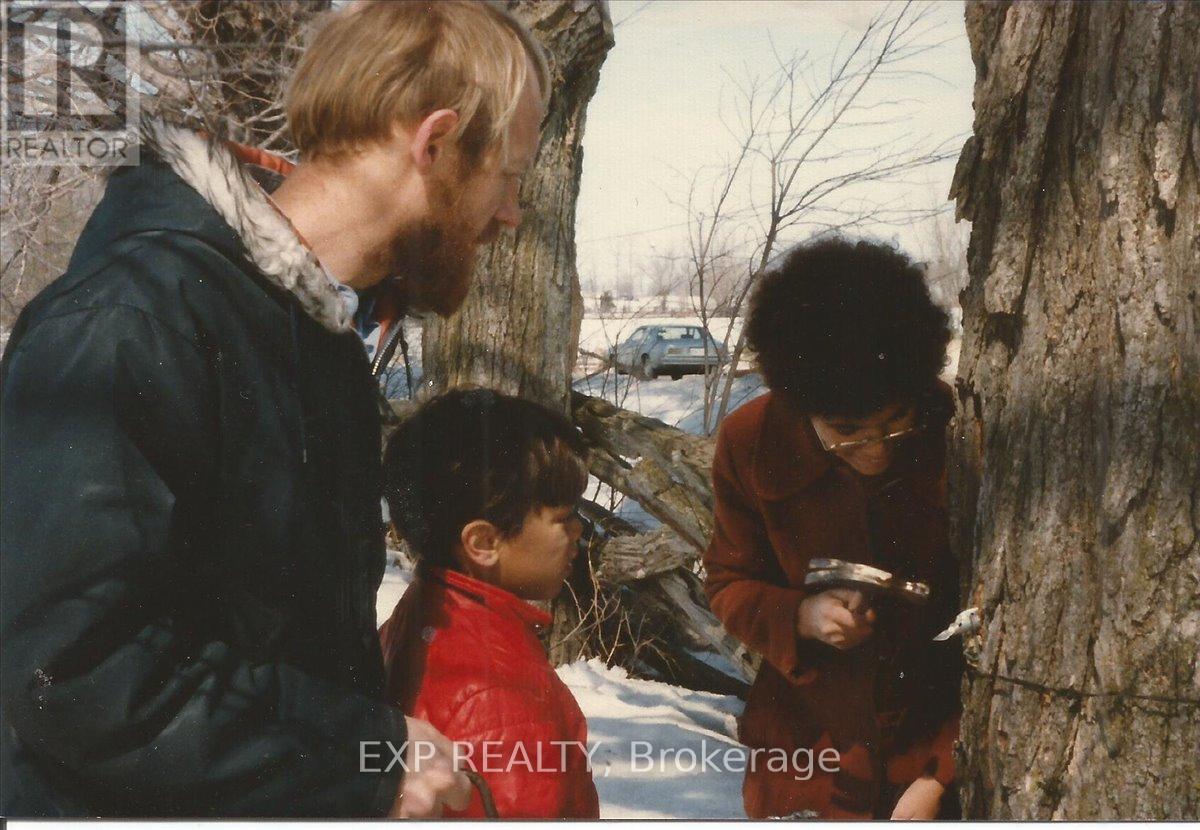 3749 Wallace Point Road, Otonabee-South Monaghan, Ontario  K9J 6Y3 - Photo 34 - X13056164