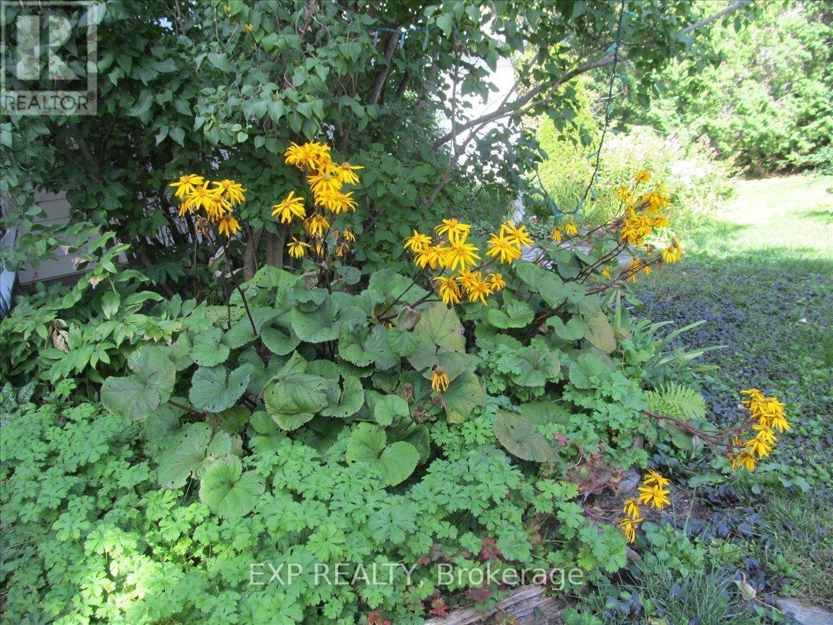 3749 Wallace Point Road, Otonabee-South Monaghan, Ontario  K9J 6Y3 - Photo 40 - X13056164