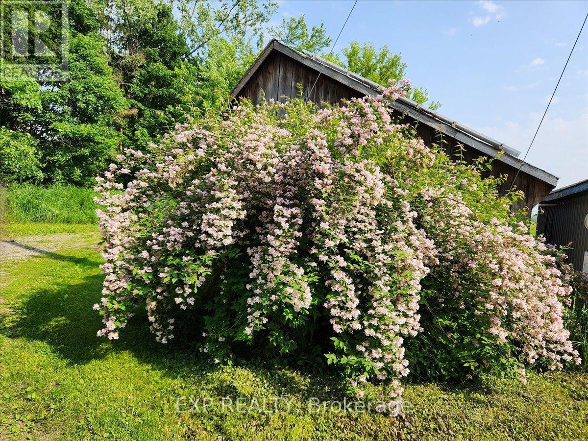 3749 Wallace Point Road, Otonabee-South Monaghan, Ontario  K9J 6Y3 - Photo 38 - X13056164