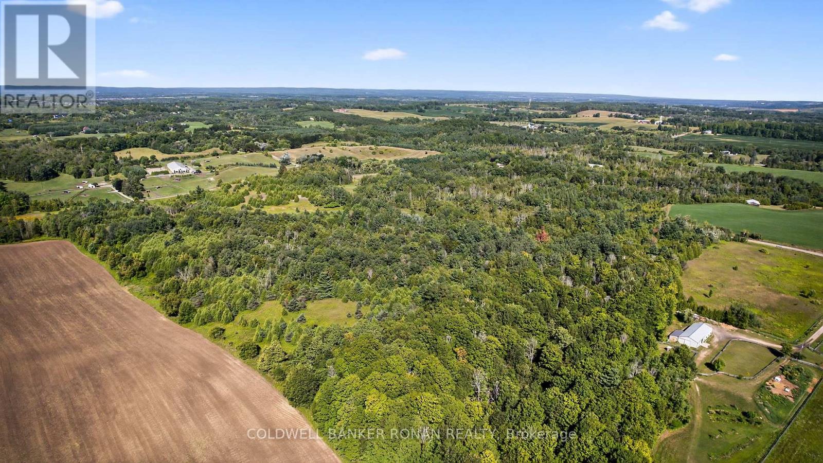 8155 19th Side Road, King, Ontario  L0G 1T0 - Photo 13 - N12854372