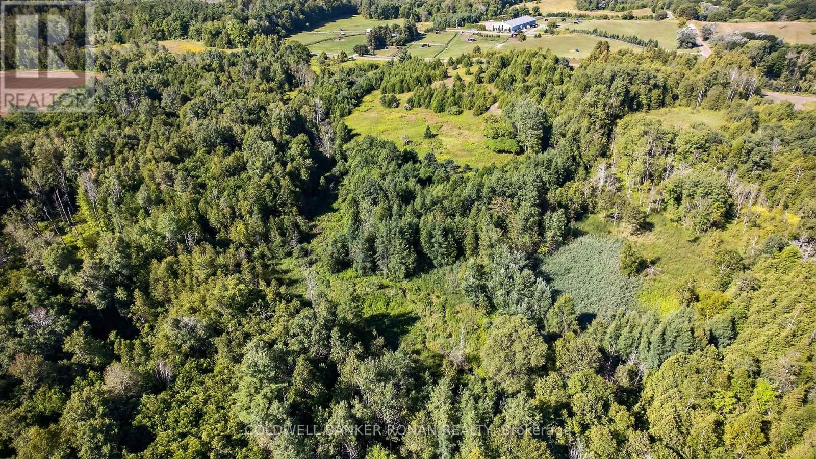 8155 19th Side Road, King, Ontario  L0G 1T0 - Photo 5 - N12354995