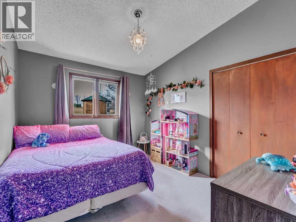11311 Range Road 40, Rural Cypress County, Alberta  T0J 1V0 - Photo 21 - A2278185