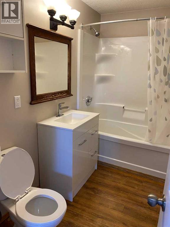 221 2nd Avenue SW, Manning, Alberta  T0H 2M0 - Photo 15 - A2305497