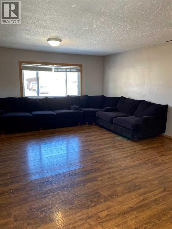 221 2nd Avenue SW, Manning, Alberta  T0H 2M0 - Photo 8 - A2305497