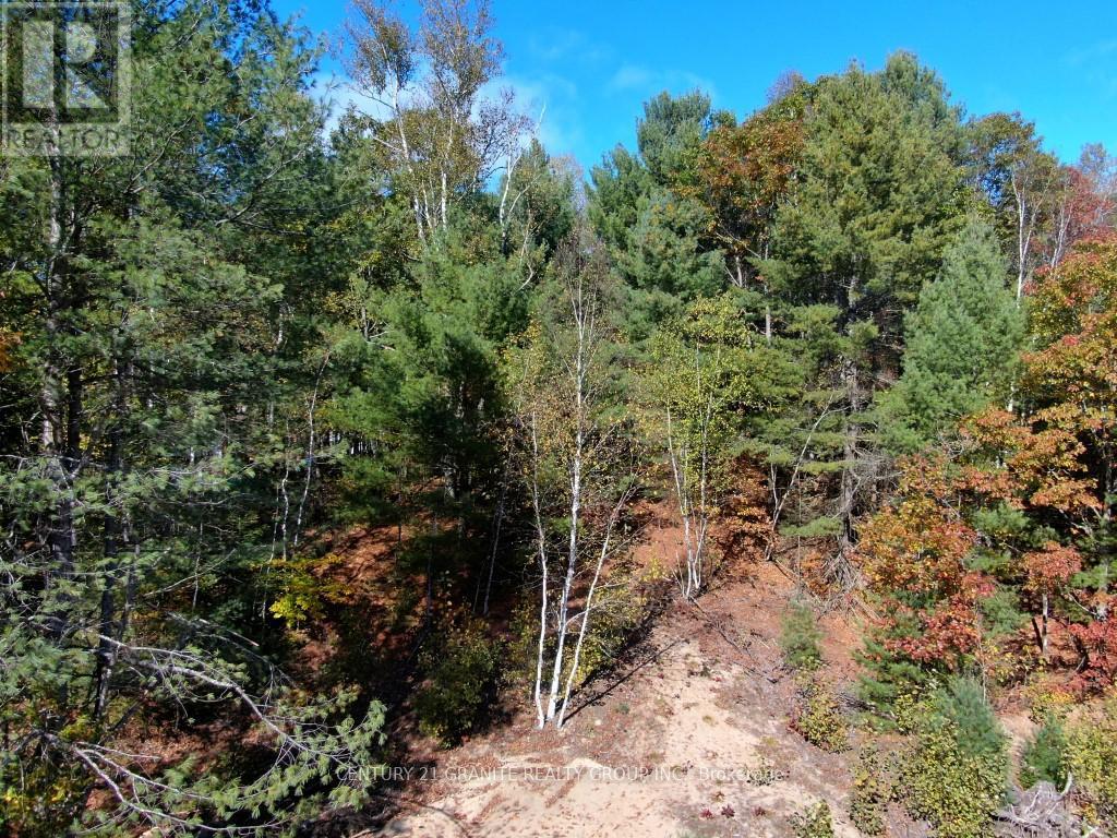 26457 Hwy 62 Highway, Bancroft, Ontario  K0L 1C0 - Photo 13 - X13057860