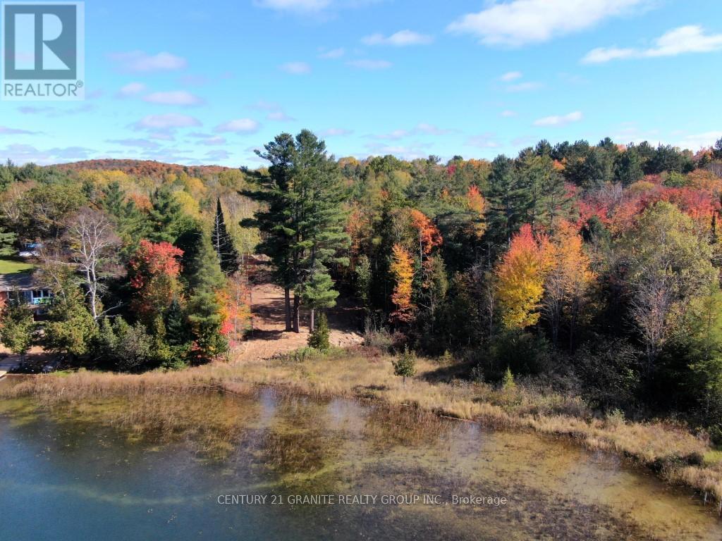 26457 Hwy 62 Highway, Bancroft, Ontario  K0L 1C0 - Photo 18 - X13057860