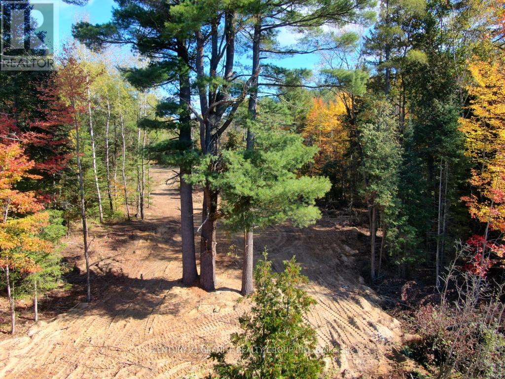 26457 Hwy 62 Highway, Bancroft, Ontario  K0L 1C0 - Photo 19 - X13057860