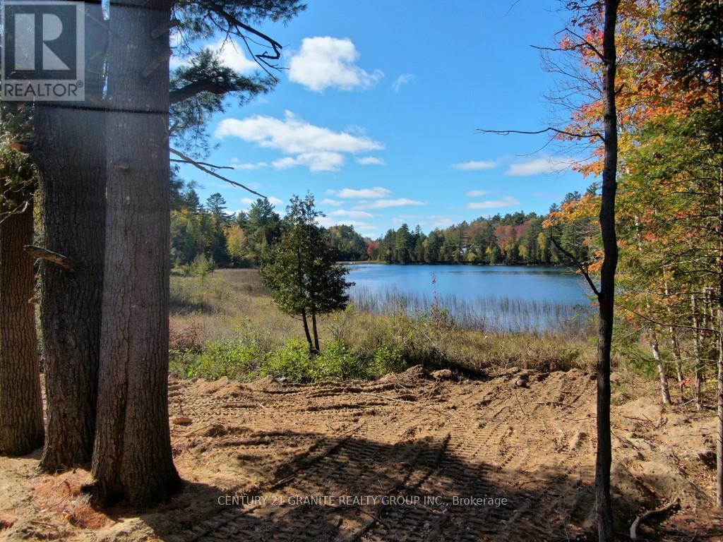 26457 Hwy 62 Highway, Bancroft, Ontario  K0L 1C0 - Photo 20 - X13057860