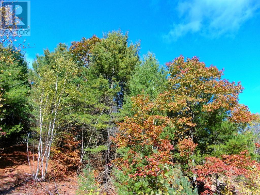 26457 Hwy 62 Highway, Bancroft, Ontario  K0L 1C0 - Photo 25 - X13057860