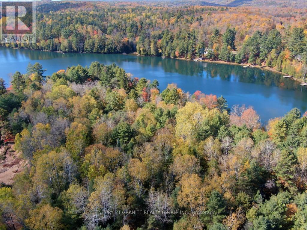 26457 Hwy 62 Highway, Bancroft, Ontario  K0L 1C0 - Photo 3 - X13057860