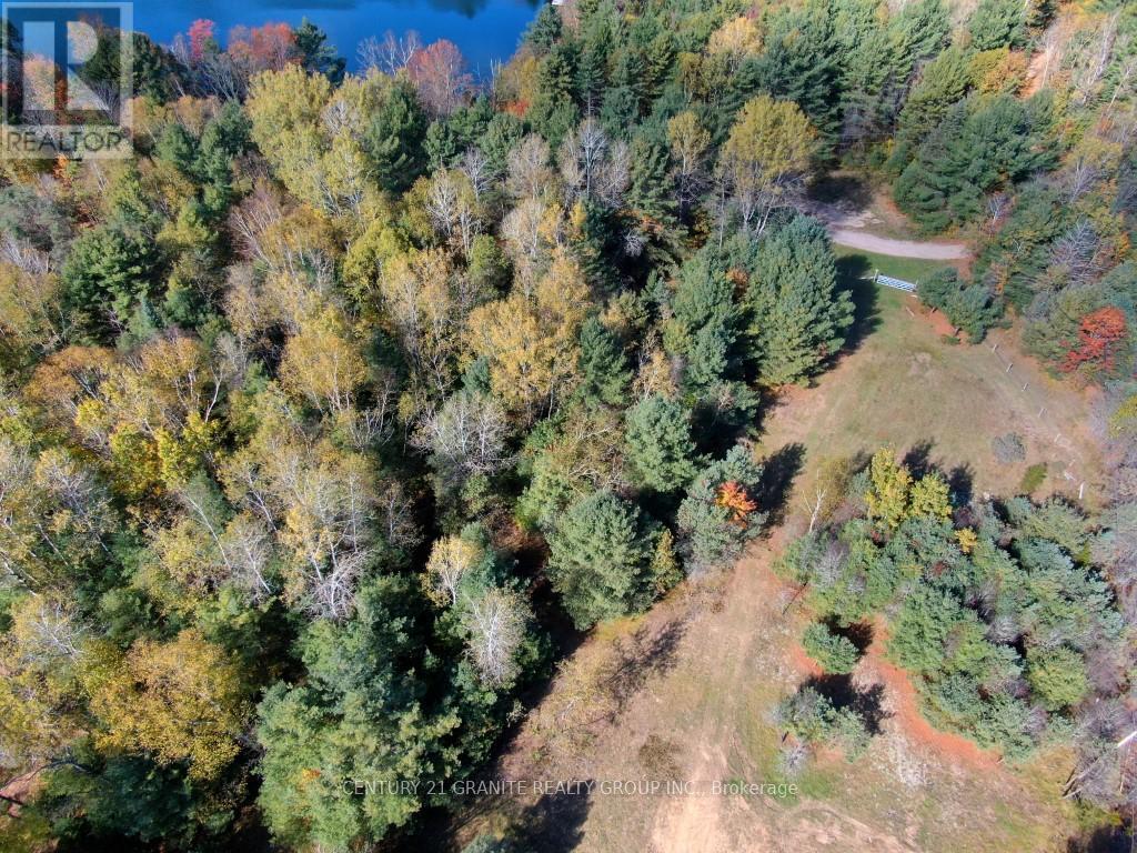 26457 Hwy 62 Highway, Bancroft, Ontario  K0L 1C0 - Photo 4 - X13057860