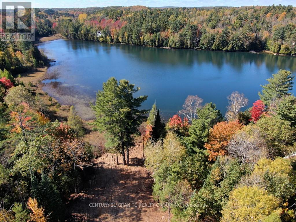 26457 Hwy 62 Highway, Bancroft, Ontario  K0L 1C0 - Photo 6 - X13057860