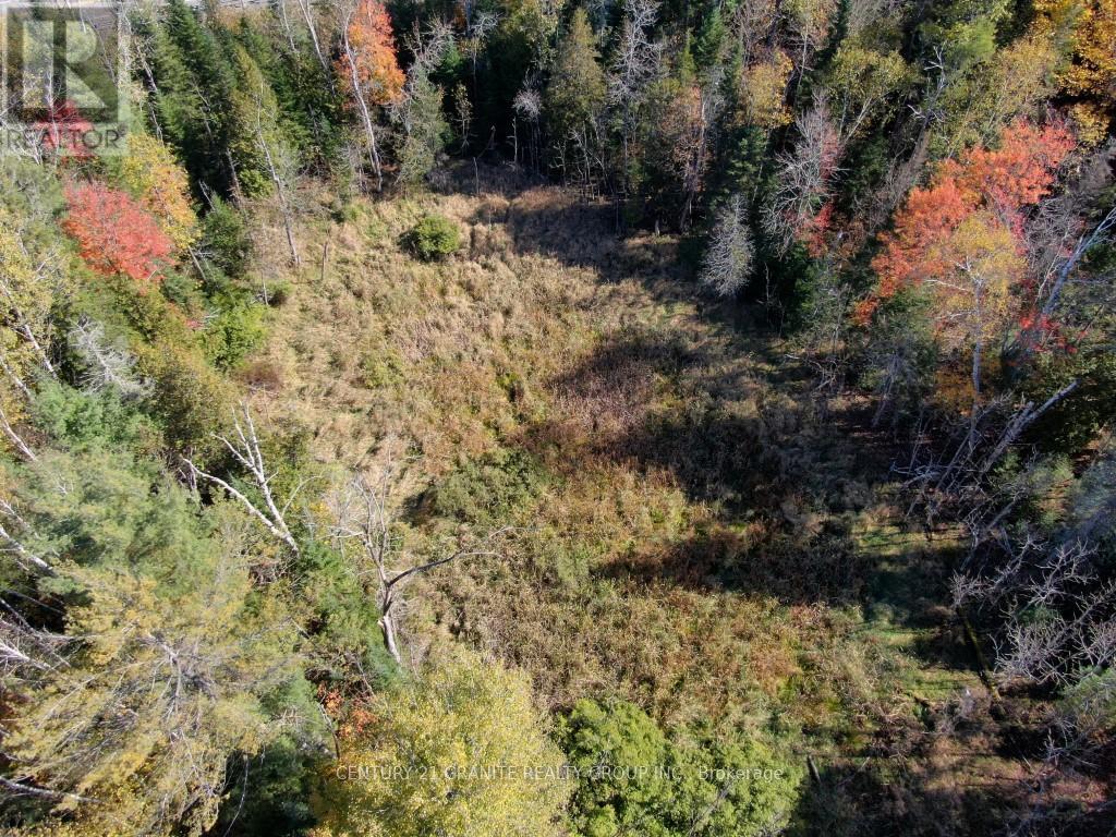 26457 Hwy 62 Highway, Bancroft, Ontario  K0L 1C0 - Photo 8 - X13057860