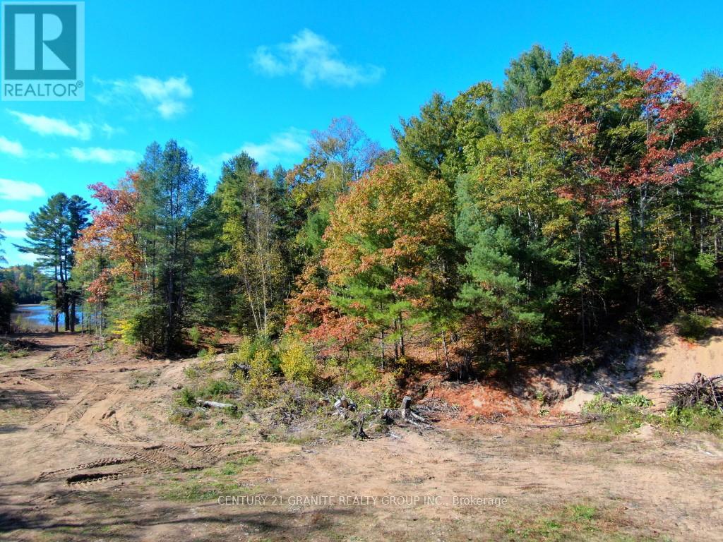 26457 Hwy 62 Highway, Bancroft, Ontario  K0L 1C0 - Photo 9 - X13057860