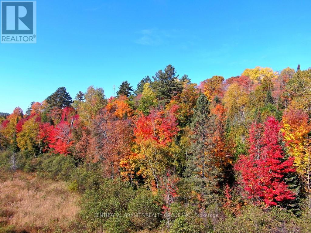 Con Ehr Pt Lot 25 M-25 Lot 4, Bancroft, Ontario  K0L 1C0 - Photo 13 - X13058054