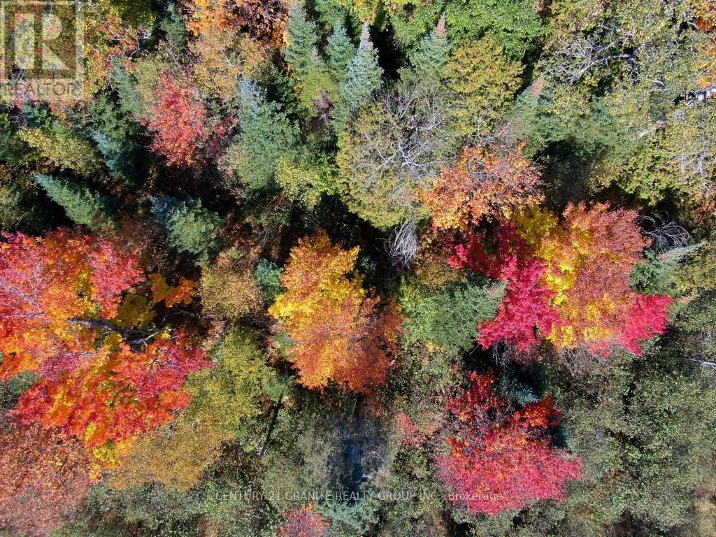 Con Ehr Pt Lot 25 M-25 Lot 4, Bancroft, Ontario  K0L 1C0 - Photo 14 - X13058054