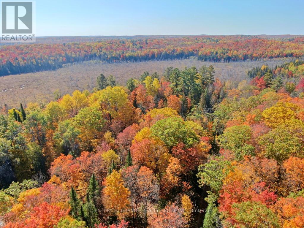 Con Ehr Pt Lot 25 M-25 Lot 4, Bancroft, Ontario  K0L 1C0 - Photo 4 - X13058054