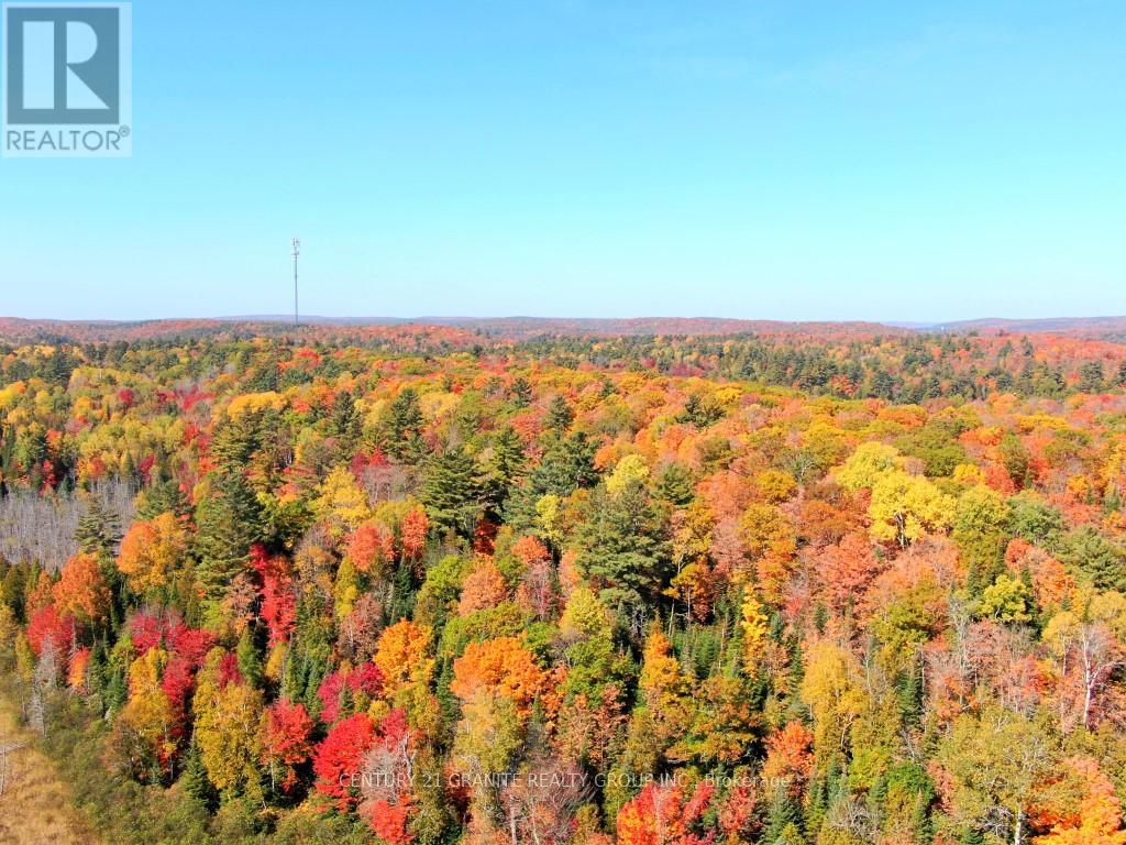 Con Ehr Pt Lot 25 M-25 Lot 4, Bancroft, Ontario  K0L 1C0 - Photo 9 - X13058054