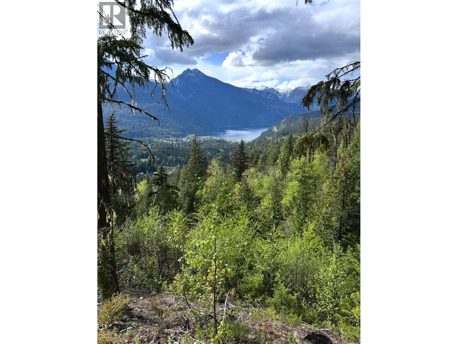 8907 Martens Road, Slocan, British Columbia  V0G 2C0 - Photo 4 - 10384864