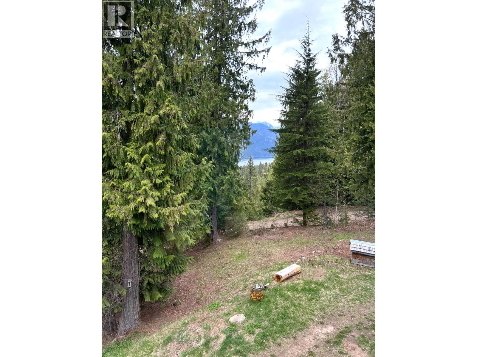 8907 Martens Road, Slocan, British Columbia  V0G 2C0 - Photo 30 - 10384864