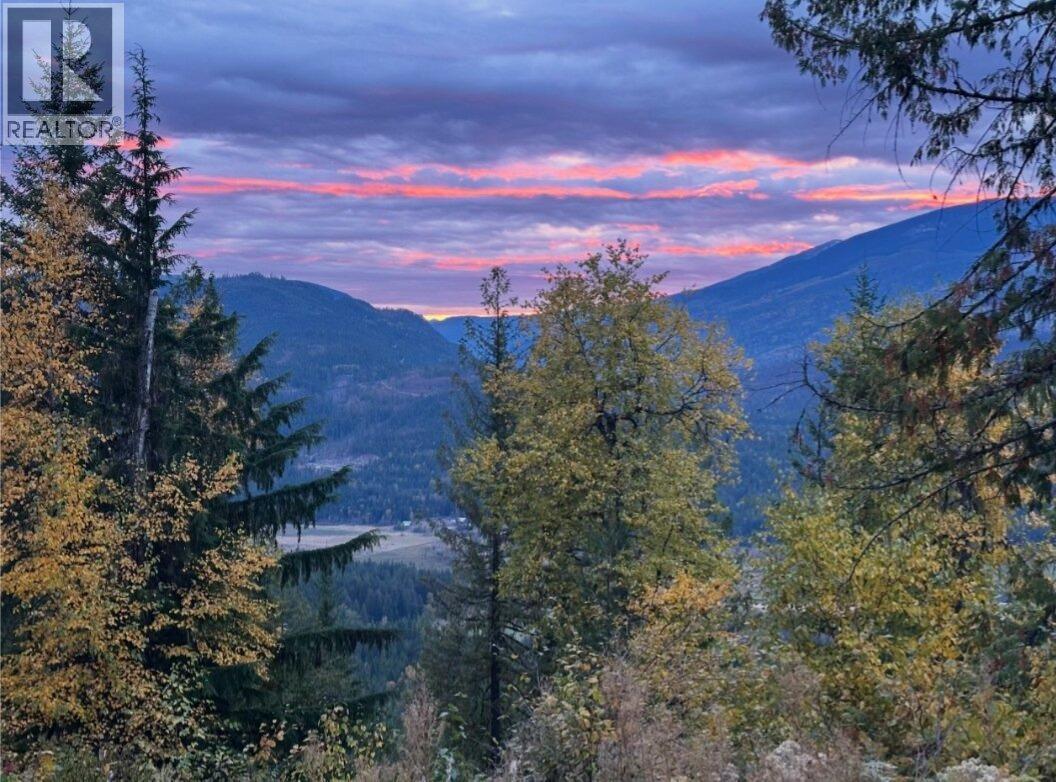 8907 Martens Road, Slocan, British Columbia  V0G 2C0 - Photo 28 - 10384864