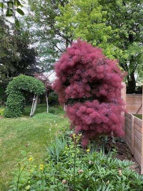 8 Glenvale Boulevard, Toronto, Ontario  M4G 2V1 - Photo 45 - C13057804