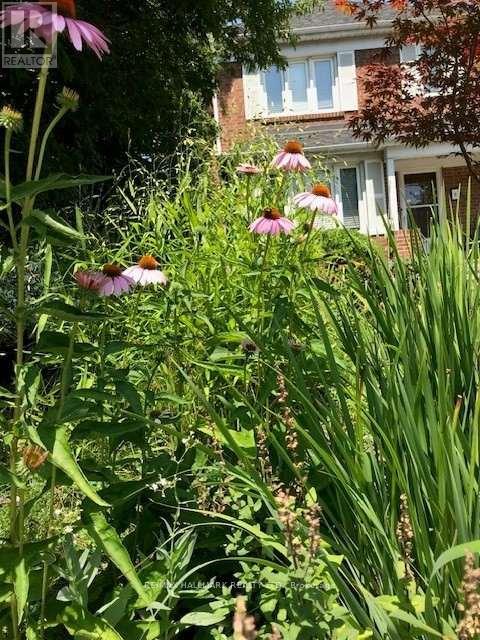 8 Glenvale Boulevard, Toronto, Ontario  M4G 2V1 - Photo 49 - C13057804