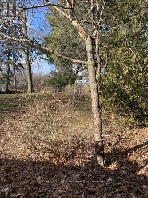 60 Pine Ridge Drive, Toronto, Ontario  M1M 2X7 - Photo 8 - E13057994