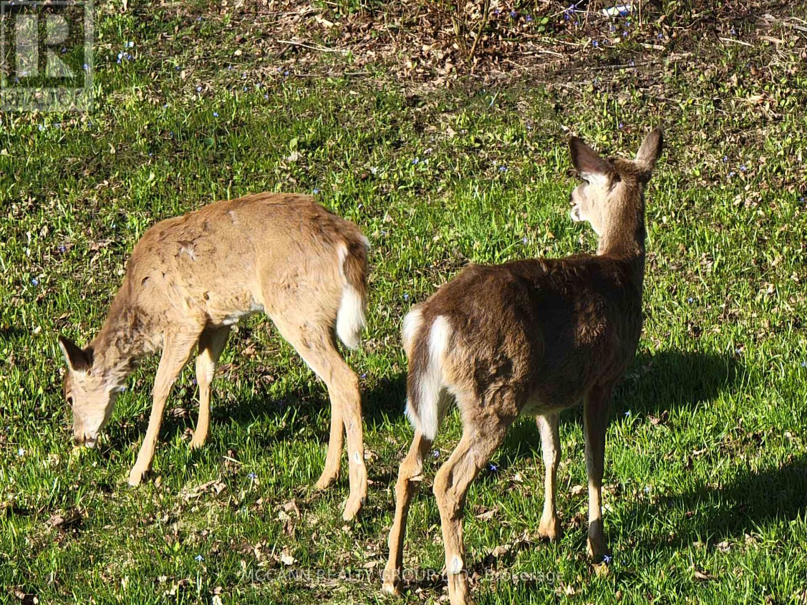124 Scarboro Crescent, Toronto, Ontario  M1M 2J4 - Photo 49 - E13058090