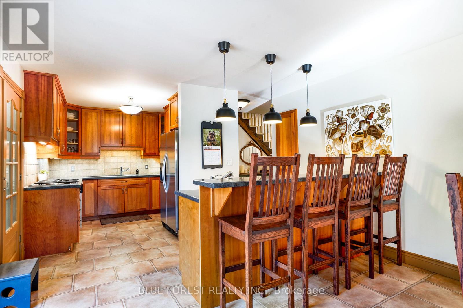 174 Mcarthur Street, Dutton/dunwich, Ontario  N0L 1J0 - Photo 11 - X12842618