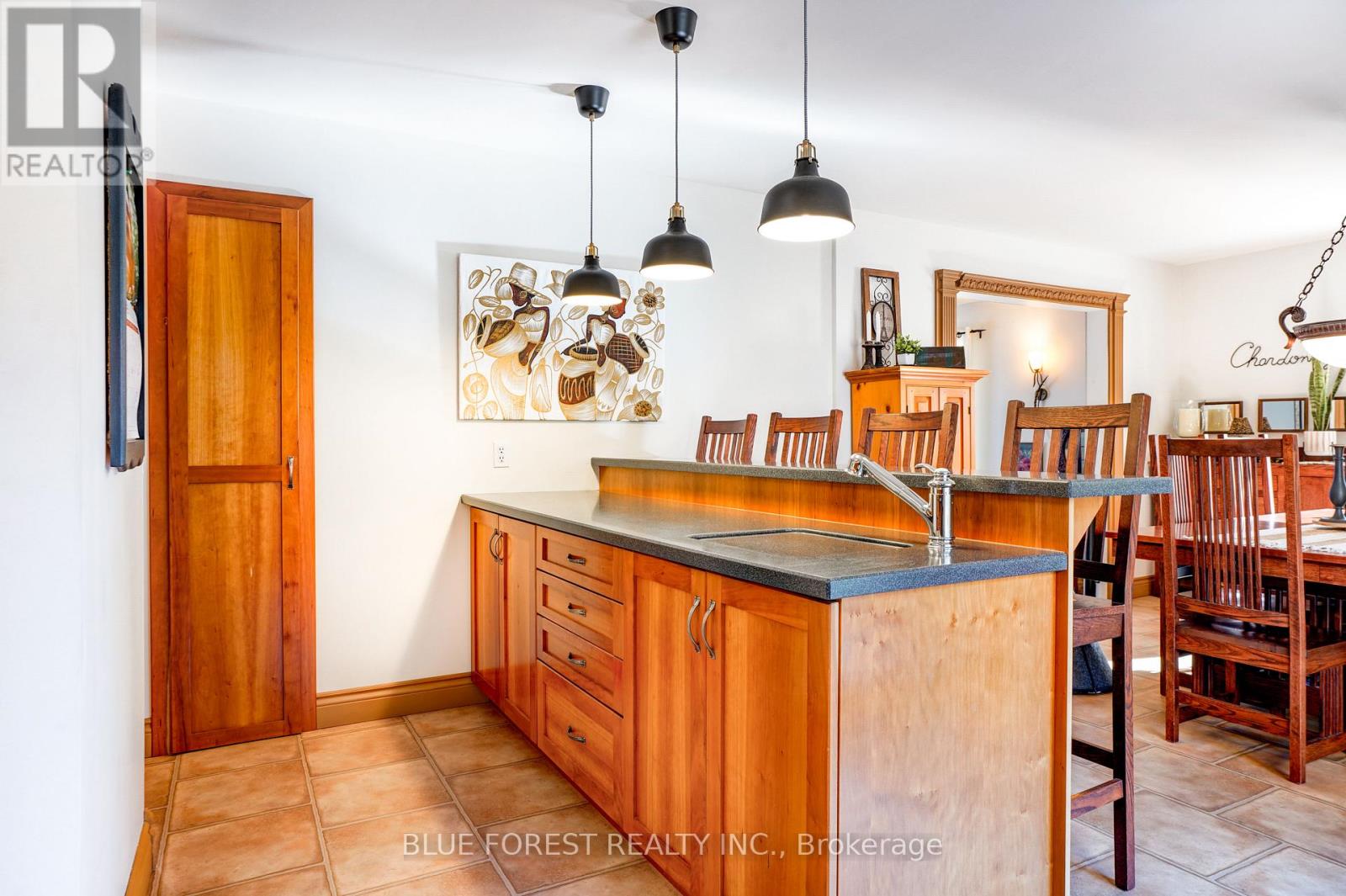 174 Mcarthur Street, Dutton/dunwich, Ontario  N0L 1J0 - Photo 13 - X12842618