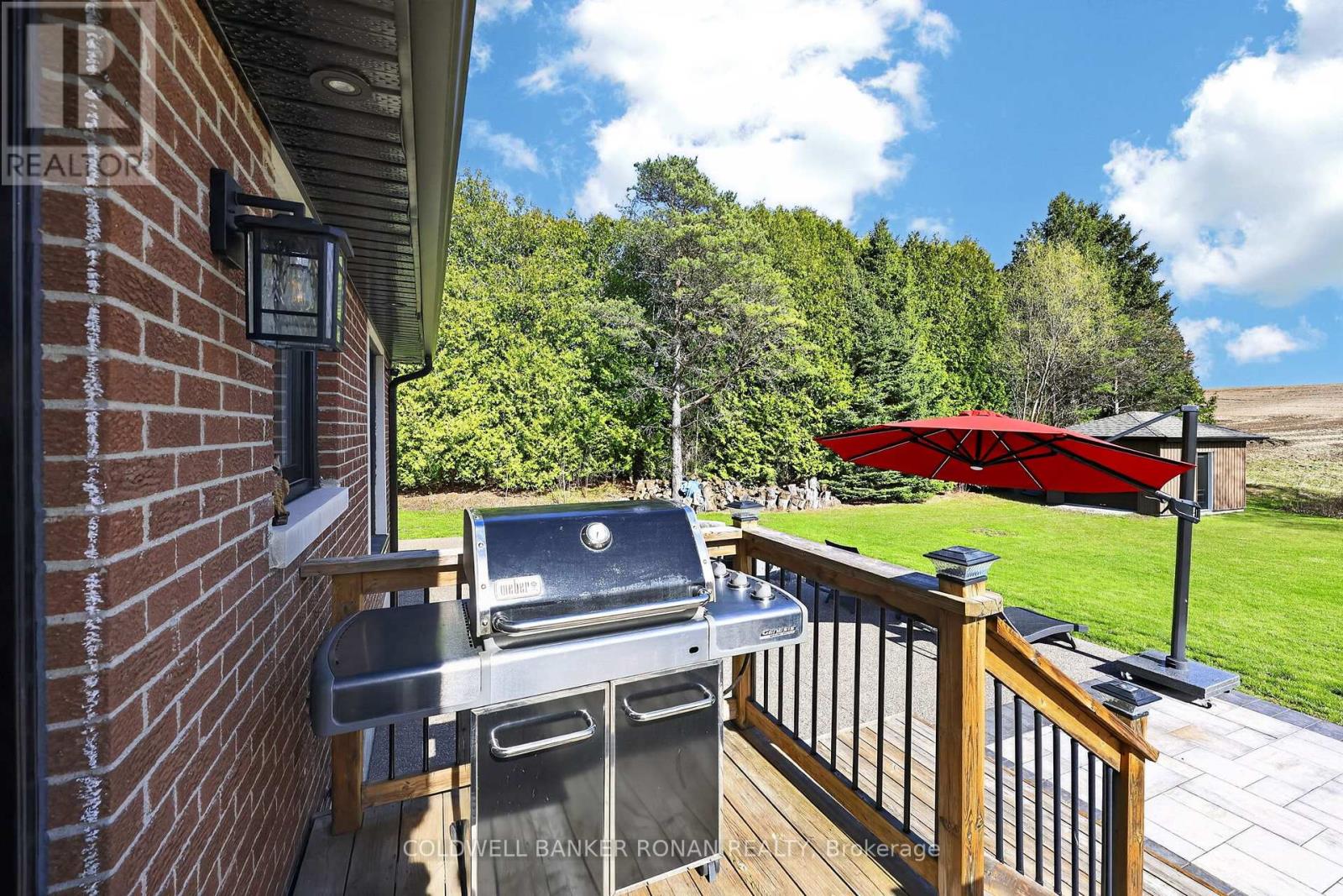 6749 2nd Line, New Tecumseth, Ontario  L0G 1W0 - Photo 39 - N13057984