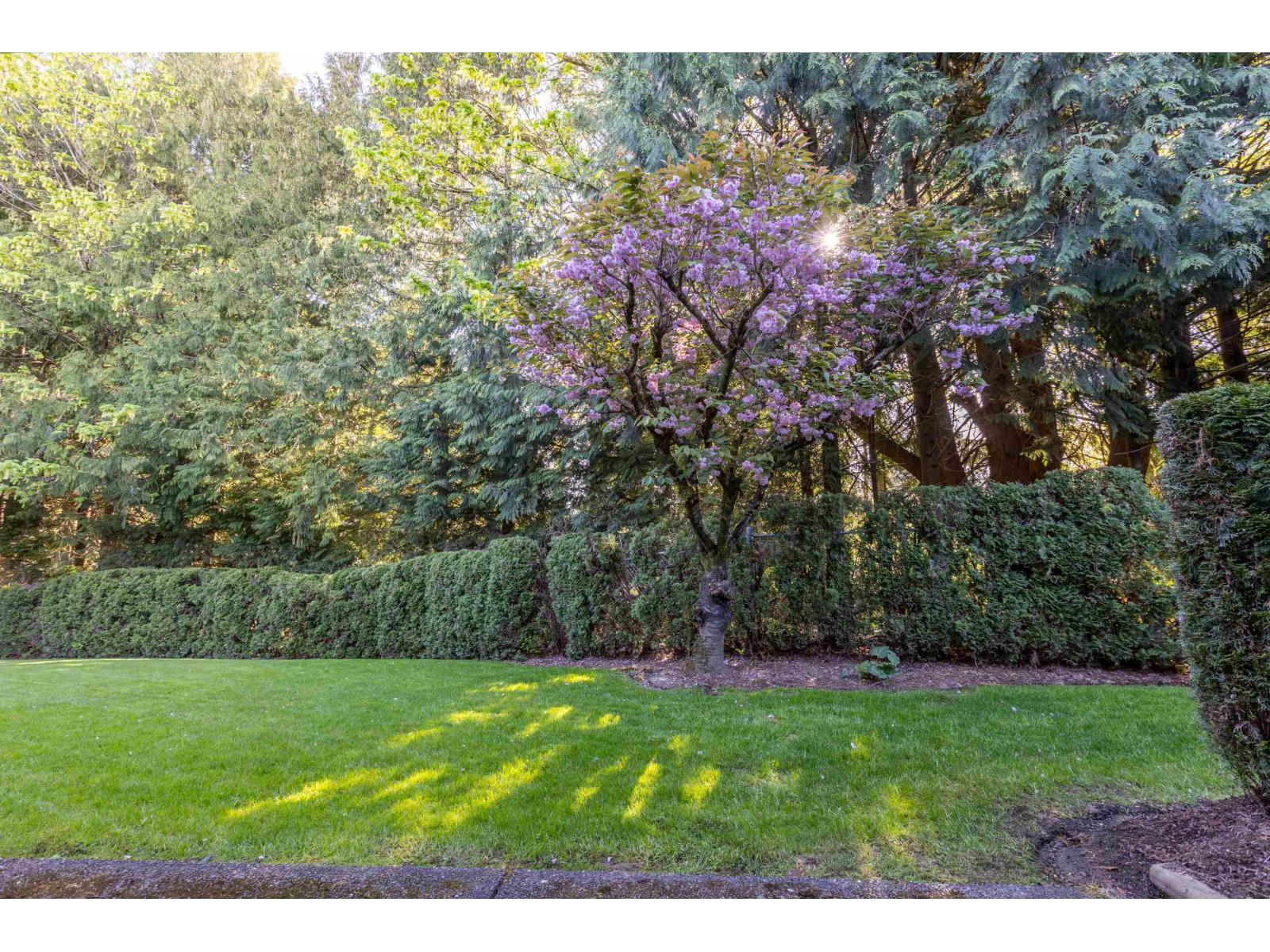 16 2988 Horn Street, Abbotsford, British Columbia  V2S 3C1 - Photo 37 - R3116531