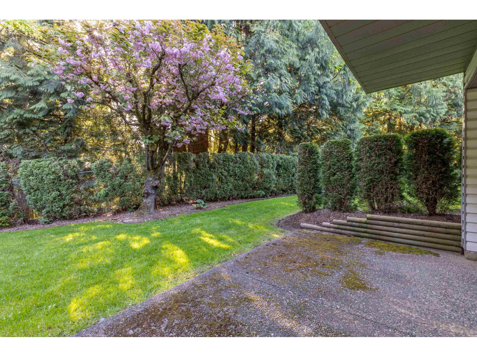 16 2988 Horn Street, Abbotsford, British Columbia  V2S 3C1 - Photo 38 - R3116531