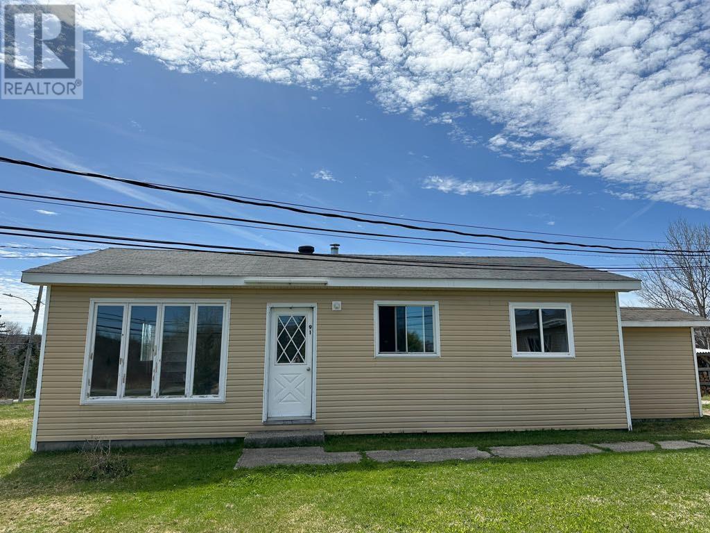 91 North Main Street, Deer Lake, Newfoundland & Labrador  A8A 2J3 - Photo 1 - 1293855