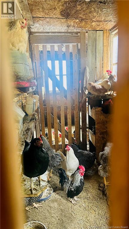 597 Charleston Road, Charleston, New Brunswick  E7K 1Z8 - Photo 17 - NB137766