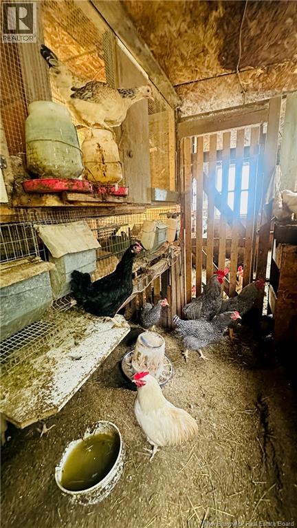 597 Charleston Road, Charleston, New Brunswick  E7K 1Z8 - Photo 19 - NB137766