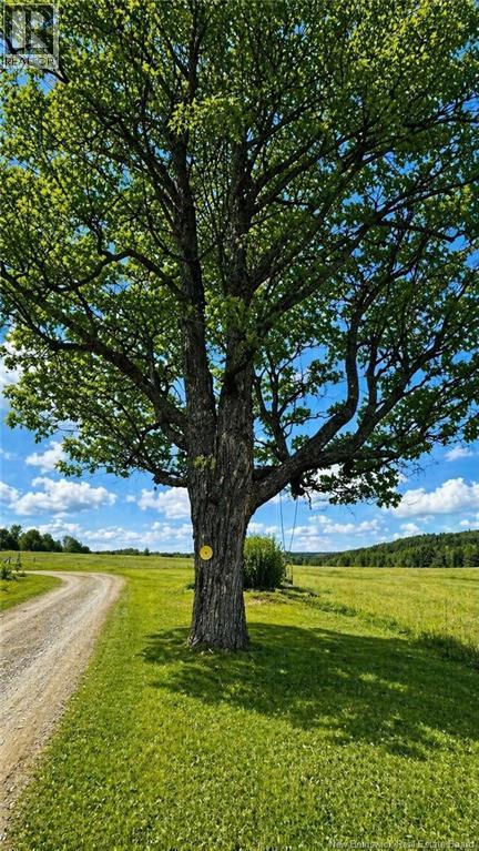 597 Charleston Road, Charleston, New Brunswick  E7K 1Z8 - Photo 8 - NB137766