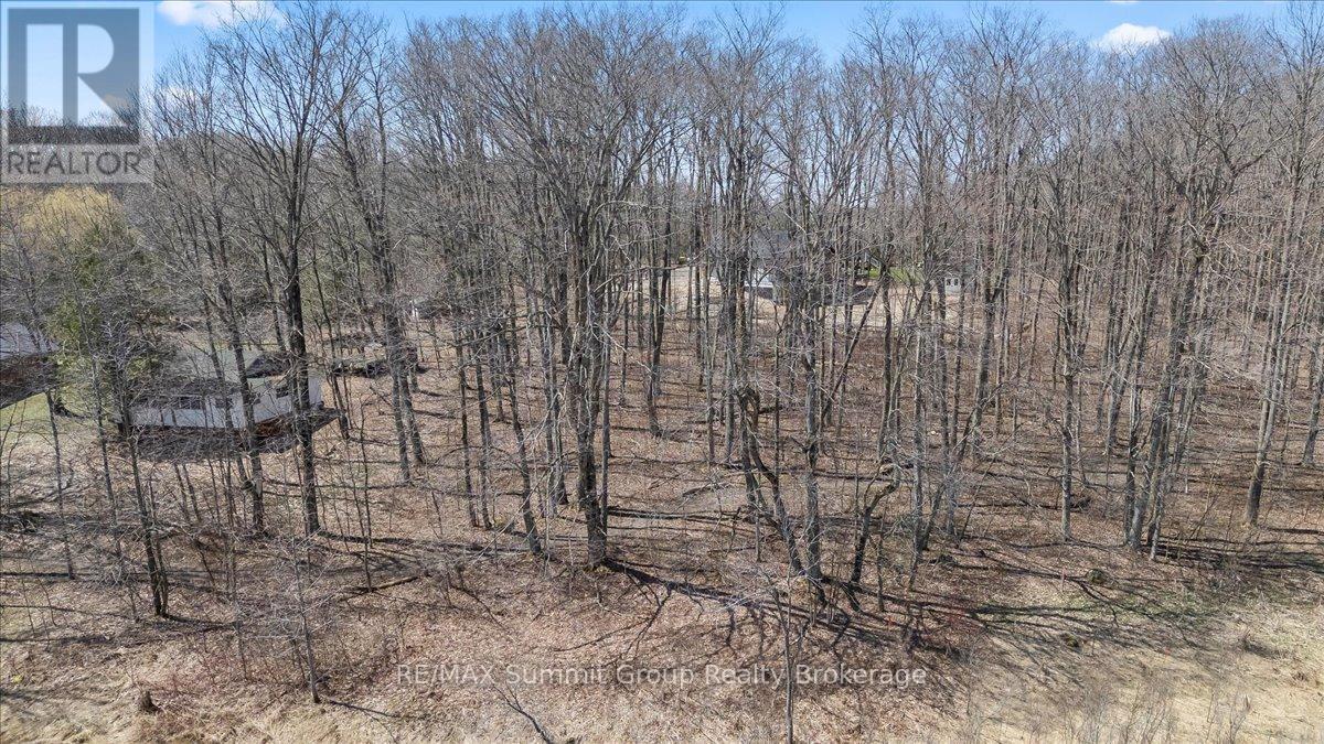 247 Canrobert Street, Grey Highlands, Ontario  N0C 1E0 - Photo 10 - X13058184