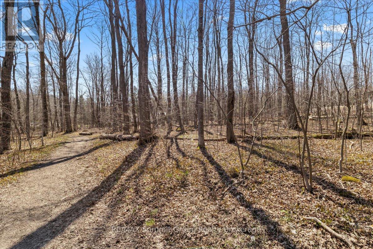 247 Canrobert Street, Grey Highlands, Ontario  N0C 1E0 - Photo 13 - X13058184