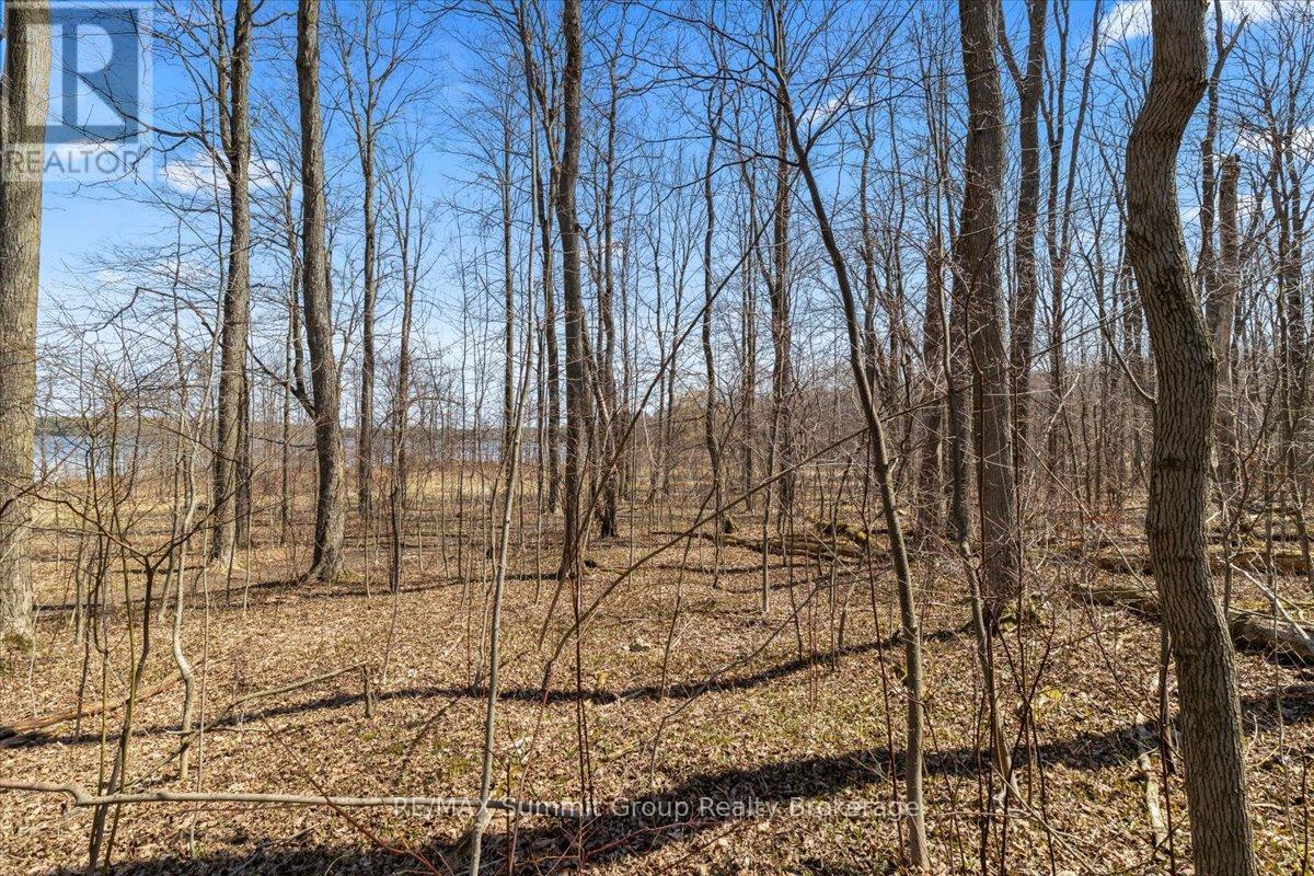 247 Canrobert Street, Grey Highlands, Ontario  N0C 1E0 - Photo 14 - X13058184