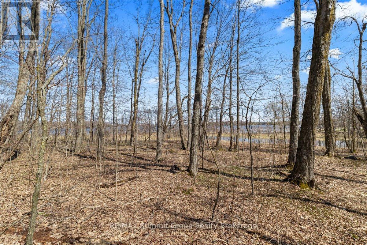 247 Canrobert Street, Grey Highlands, Ontario  N0C 1E0 - Photo 3 - X13058184