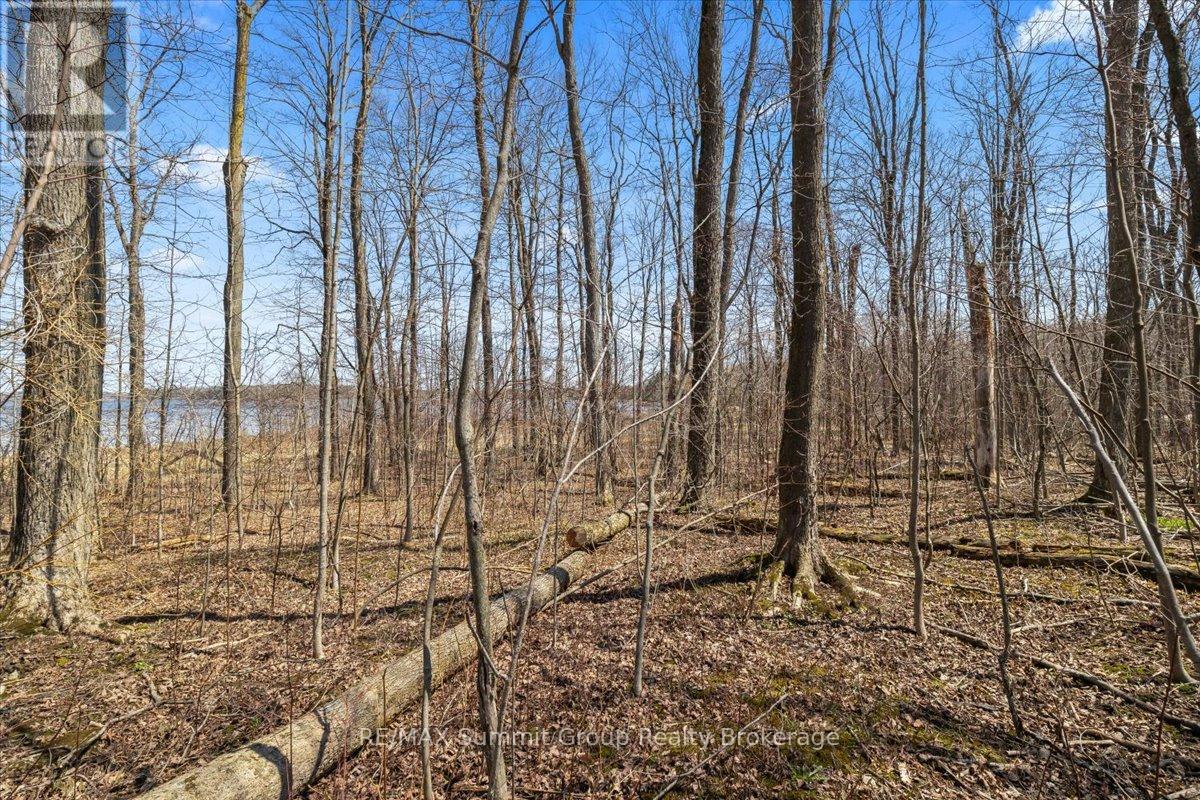 247 Canrobert Street, Grey Highlands, Ontario  N0C 1E0 - Photo 4 - X13058184