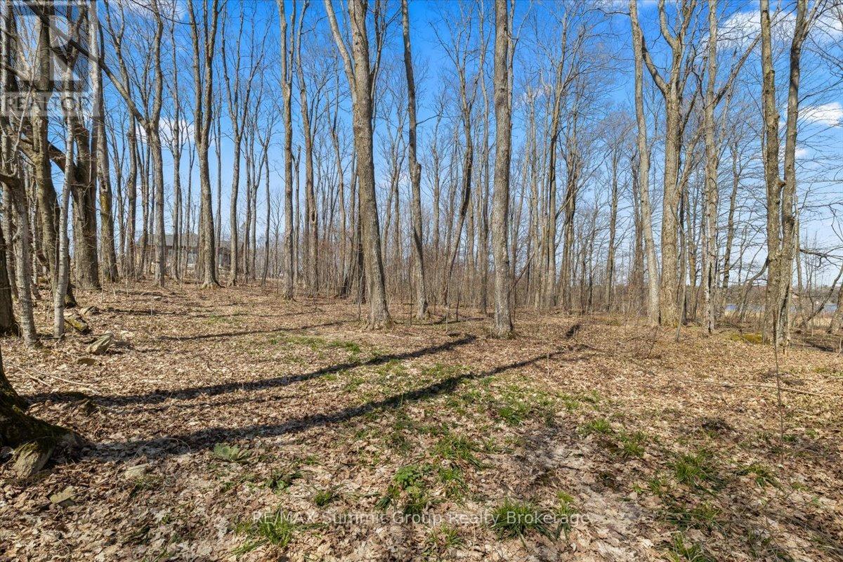 247 Canrobert Street, Grey Highlands, Ontario  N0C 1E0 - Photo 5 - X13058184