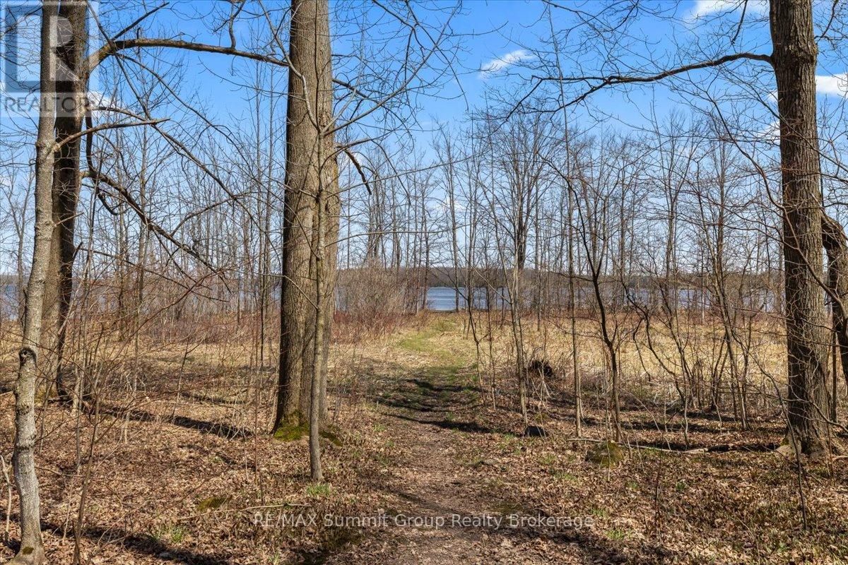 247 Canrobert Street, Grey Highlands, Ontario  N0C 1E0 - Photo 6 - X13058184