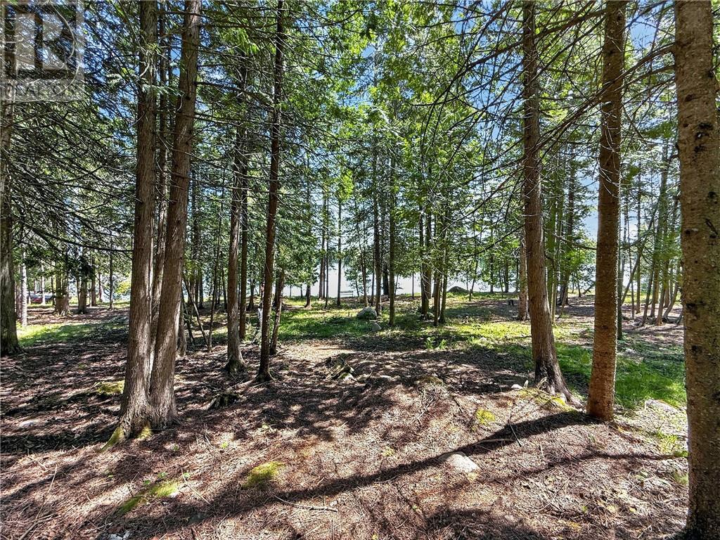 1278 Ice Lake Drive, Manitoulin Island, Ontario  P0P 1H0 - Photo 40 - 2127359