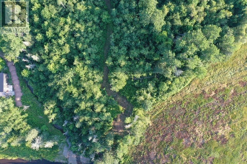 Ripley Road, Williamsdale, Nova Scotia  B0M 1E0 - Photo 10 - 202525094