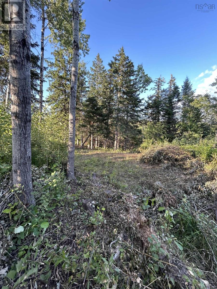 Ripley Road, Williamsdale, Nova Scotia  B0M 1E0 - Photo 5 - 202525094