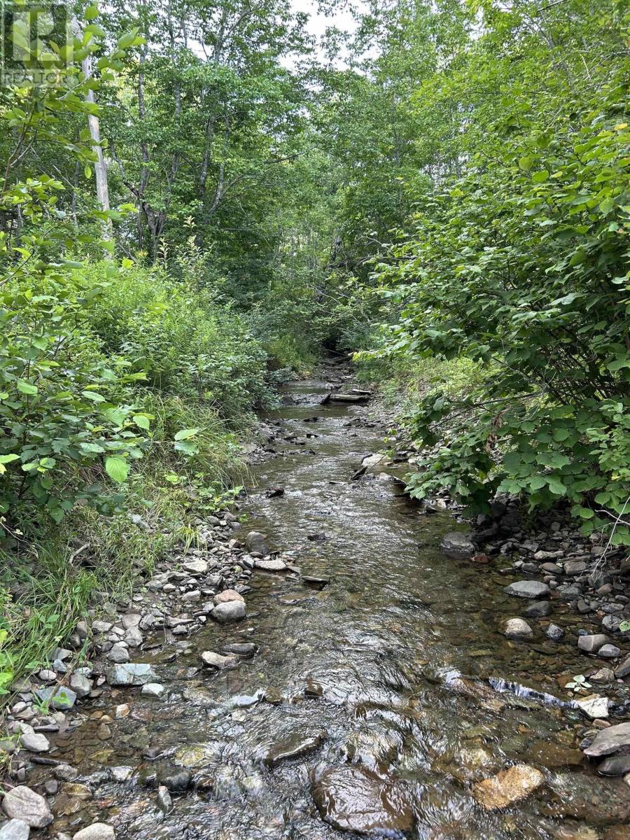 Ripley Road, Williamsdale, Nova Scotia  B0M 1E0 - Photo 8 - 202525094