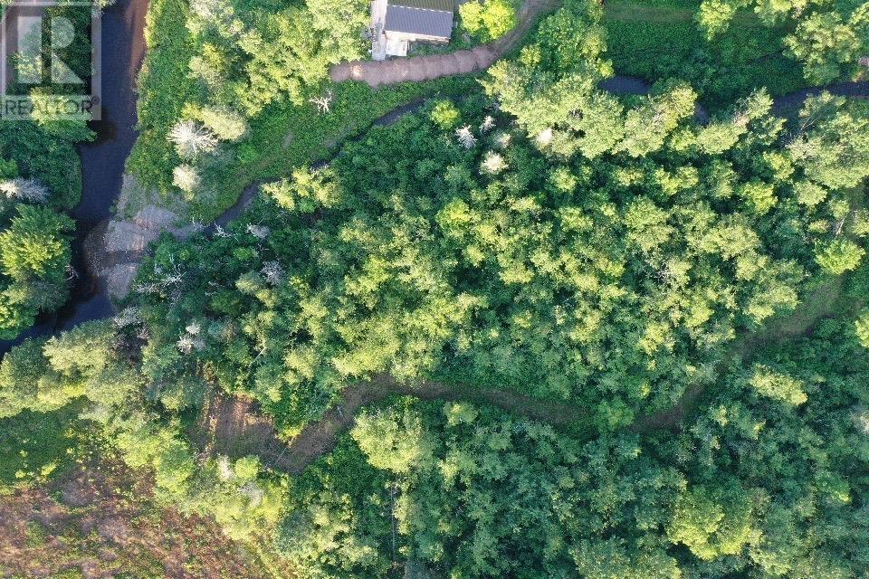 Ripley Road, Williamsdale, Nova Scotia  B0M 1E0 - Photo 9 - 202525094